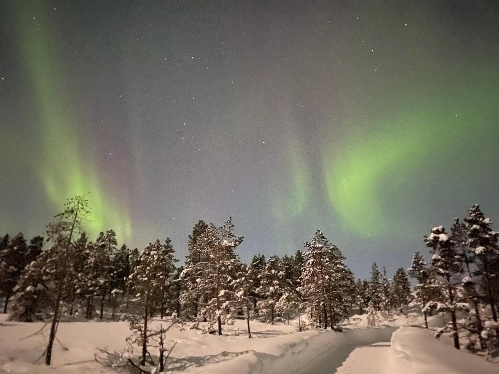 Malangen Lodge Mestervik ภายนอก รูปภาพ