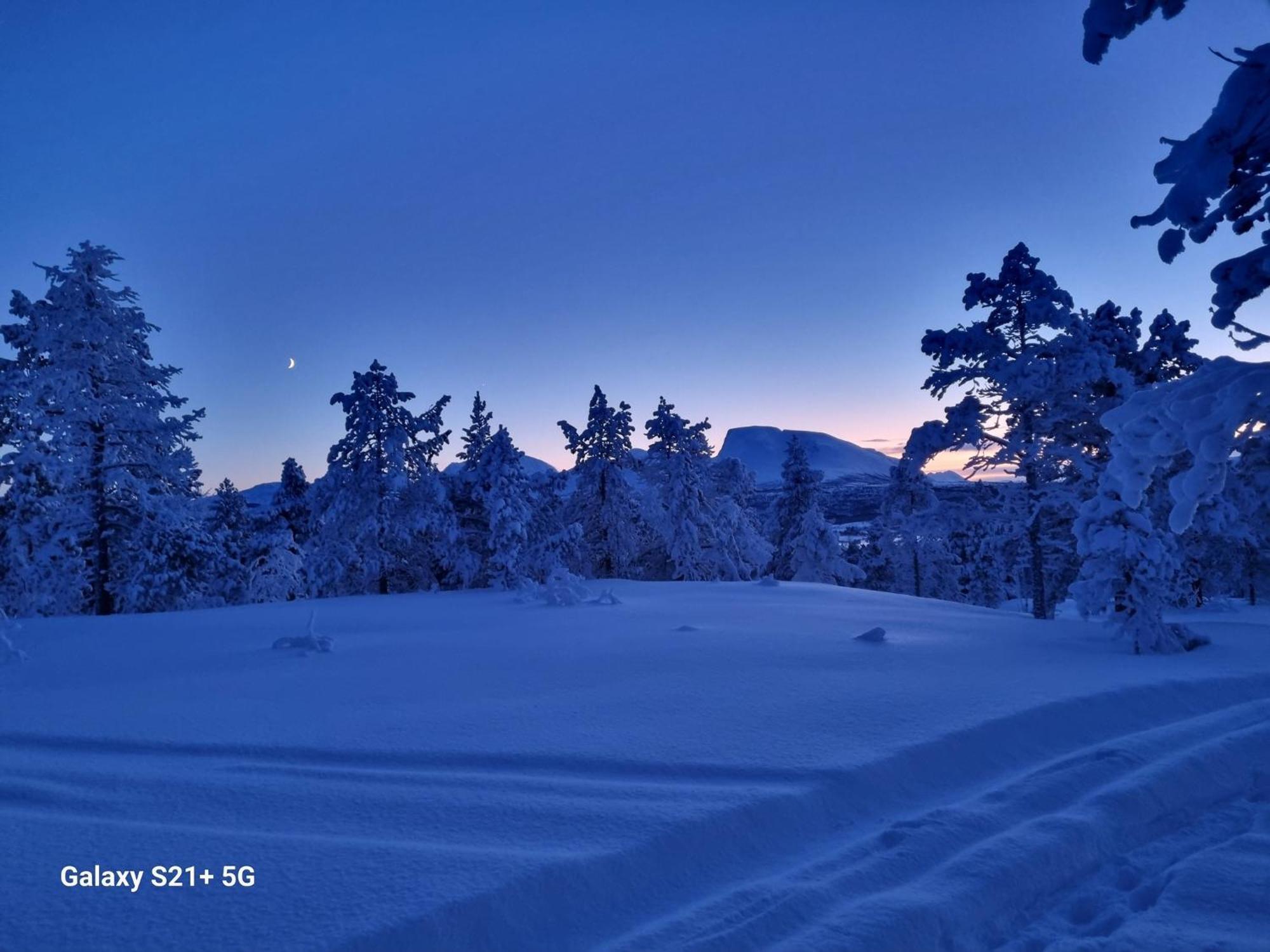 Malangen Lodge Mestervik ภายนอก รูปภาพ