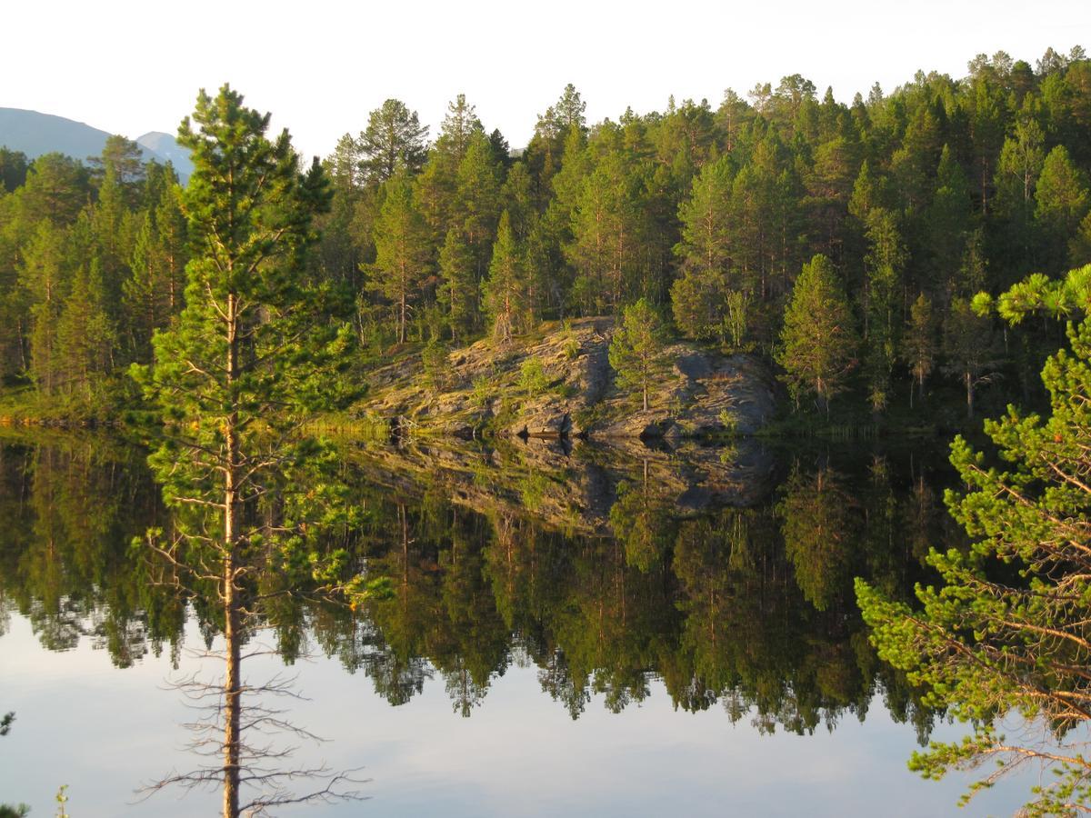 Malangen Lodge Mestervik ภายนอก รูปภาพ