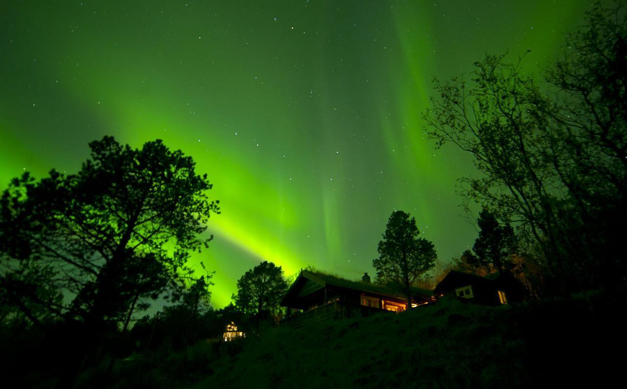 Malangen Lodge Mestervik ภายนอก รูปภาพ
