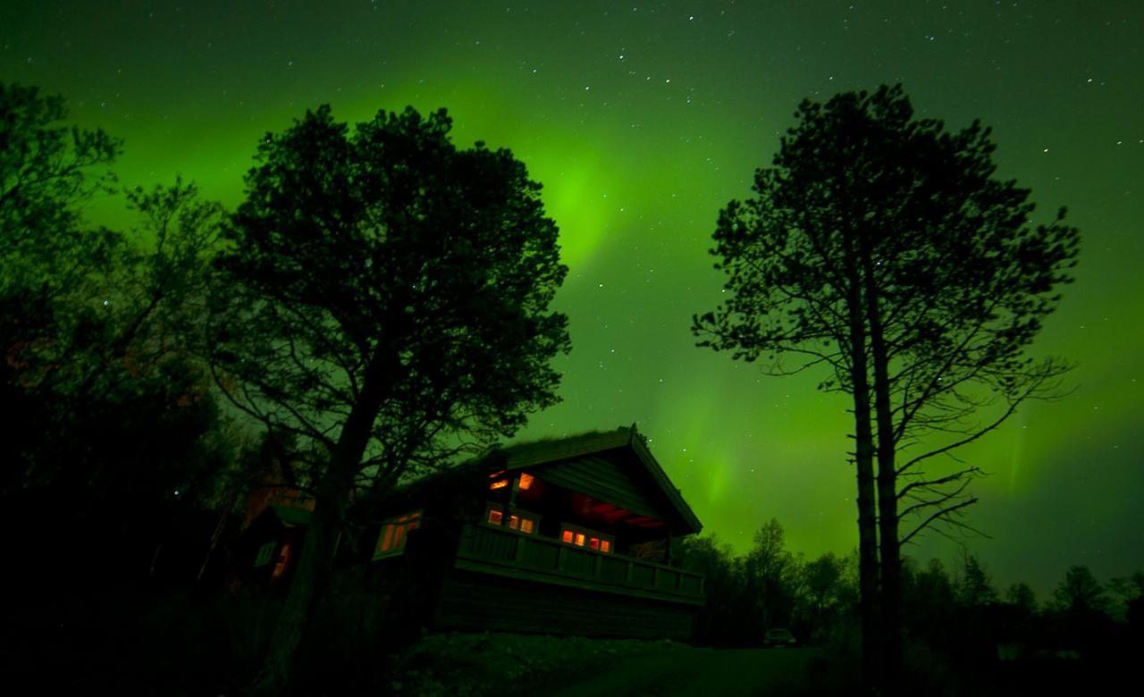 Malangen Lodge Mestervik ภายนอก รูปภาพ