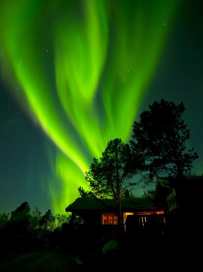 Malangen Lodge Mestervik ภายนอก รูปภาพ