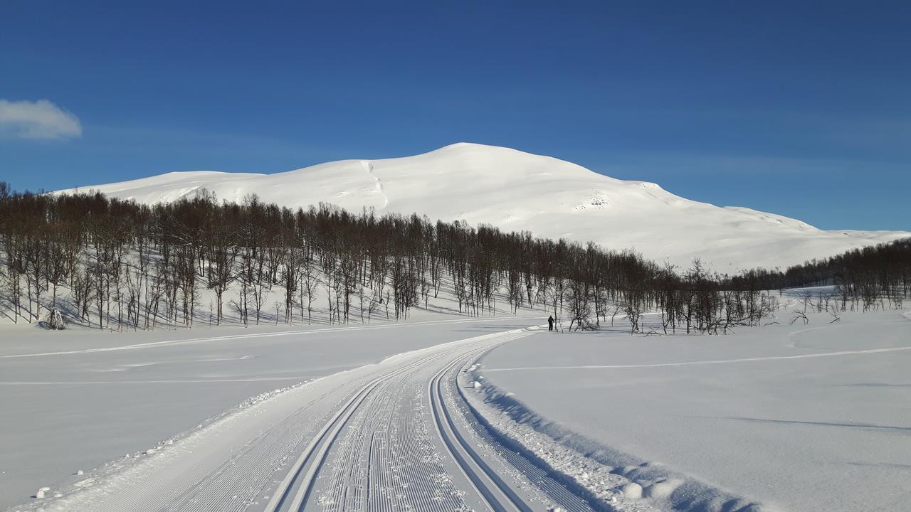 Malangen Lodge Mestervik ภายนอก รูปภาพ